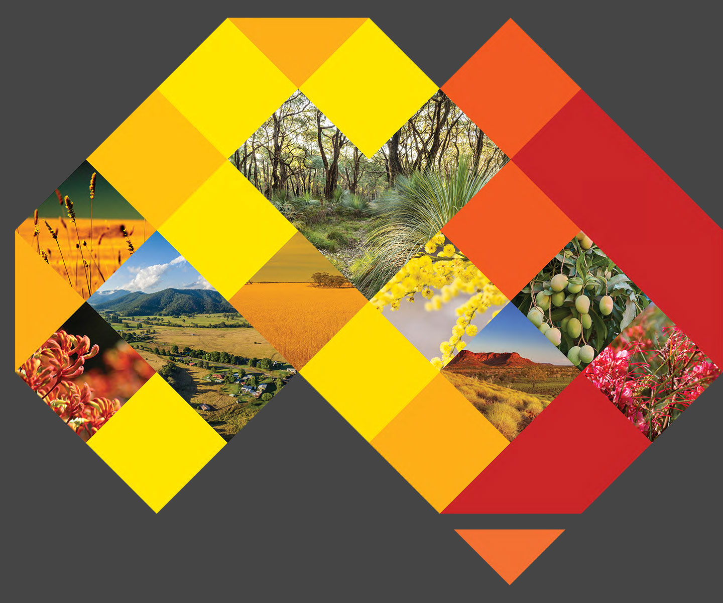 biosecurity-commons-banner